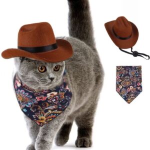 Pet Cowboy Hat and Bandana Scarf