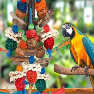 Best Parrot Toys in Saudi Arabia